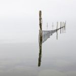 日本三级片视频在线观看 076fdd9pr