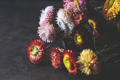 国产成人午夜在线视频极速观看 国产成人午夜在线视频极速观看