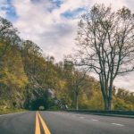 冉冉学姐吃瓜:校园趣事不断,谁在背后默默关注? 5v99ea