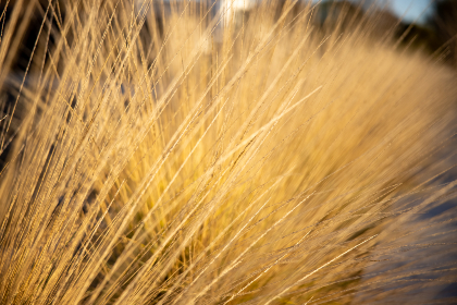 妖精的尾巴:魔法与友情交织的冒险漫画 妖精的尾巴:魔法与友情交织的冒险漫画