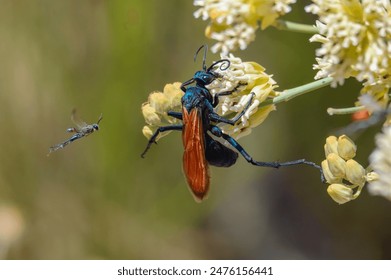 探索Jable.tv热榜:最受欢迎的精彩内容推荐 探索Jable.tv热榜:最受欢迎的精彩内容推荐